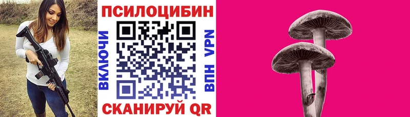 цена наркотик  Зеленоградск  Псилоцибиновые грибы мицелий 